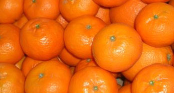 Clementina mandarin 12 kg - Ár 44 €