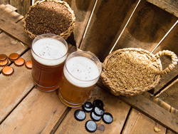 Kézműves sör - WAI - Valencia craft beer online