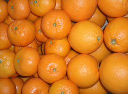 Vásároljon vegyes gyümölcsös ládát - Valencia oranges and mandarins online