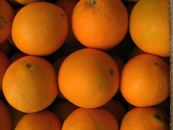 Vásároljon narancsot online - Valencia oranges online