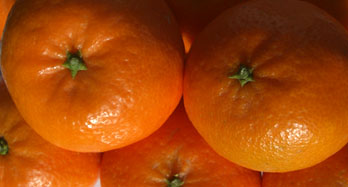 Hernandina mandarin láda 12 kg - Ár 44 €