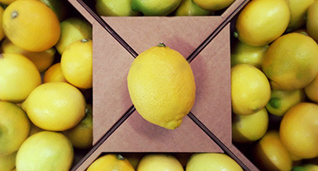 Citrom 10 kg - Ár 37 €