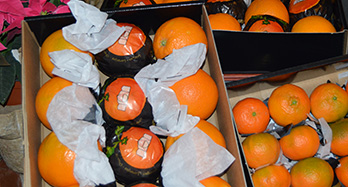 45 narancs és 28 mandarin gourmet - Ár 60 €