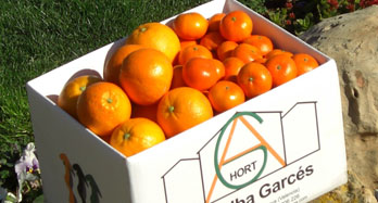 Vegyes Lane Late és Clementina 18 kg - Ár 50 €
