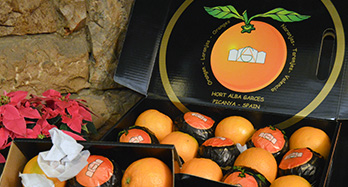 45 gourmet narancs - Ár 47 €