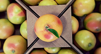 Grapefruit láda 10 kg - Ár 37 €