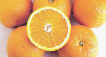 Valencia narancs 15 kg - Ár 44 €